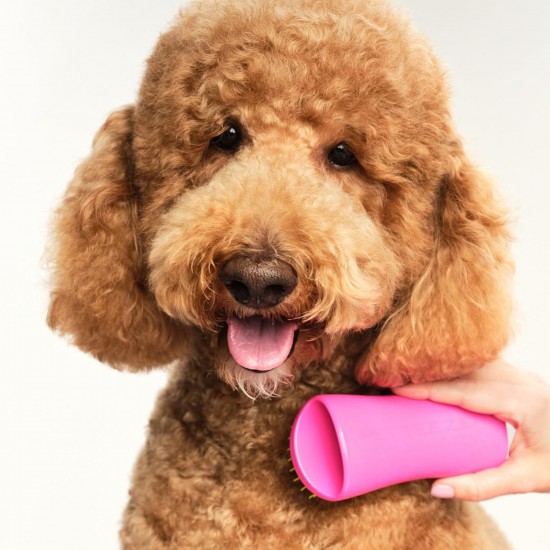 Tangle Teezer Pet Teezer Detangling Brush for Small Dogs - Dog Brush for Dry or Bath Use - The Perfect Brush for Dogs - Purple & Yellow Tangle Teezer Pet Teezer Detangling Brush for Small Dogs - Dog Brush for Dry or Bath Use - The Perfect Brush for Dogs - Purple & Yellow