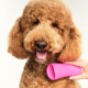 Tangle Teezer Pet Teezer Detangling Brush for Small Dogs - Dog Brush for Dry or Bath Use - The Perfect Brush for Dogs - Purple & Yellow Tangle Teezer Pet Teezer Detangling Brush for Small Dogs - Dog Brush for Dry or Bath Use - The Perfect Brush for Dogs - Purple & Yellow