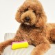 Tangle Teezer Pet Teezer Pet Grooming Brush for Small Dogs - Dog Brush for Dry or Bath Use - The Perfect Brush for Dogs - Dark Blue & Light Blue