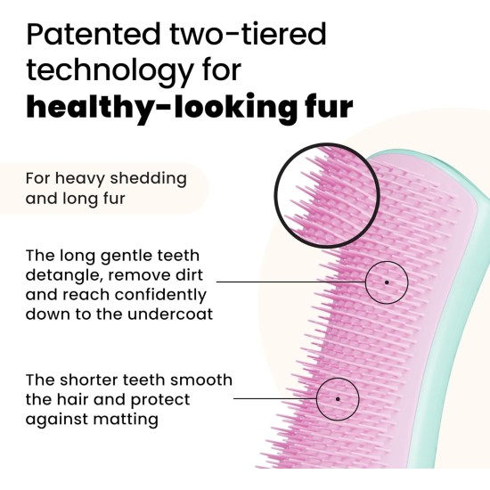 Tangle Teezer Pet Teezer Pet Grooming Brush for Small Dogs - Dog Brush for Dry or Bath Use - The Perfect Brush for Dogs - Dark Blue & Light Blue Tangle Teezer Pet Teezer Pet Grooming Brush for Small Dogs - Dog Brush for Dry or Bath Use - The Perfect Brush for Dogs - Dark Blue & Light Blue