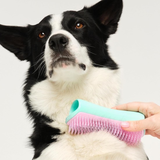 Tangle Teezer Pet Teezer Pet Grooming Brush for Small Dogs - Dog Brush for Dry or Bath Use - The Perfect Brush for Dogs - Dark Blue & Light Blue Tangle Teezer Pet Teezer Pet Grooming Brush for Small Dogs - Dog Brush for Dry or Bath Use - The Perfect Brush for Dogs - Dark Blue & Light Blue