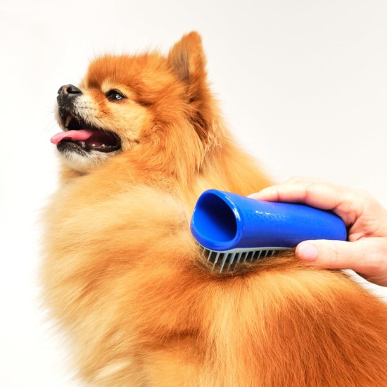 Tangle Teezer Pet Teezer Pet Grooming Brush for Small Dogs - Dog Brush for Dry or Bath Use - The Perfect Brush for Dogs - Dark Blue & Light Blue Tangle Teezer Pet Teezer Pet Grooming Brush for Small Dogs - Dog Brush for Dry or Bath Use - The Perfect Brush for Dogs - Dark Blue & Light Blue