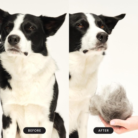 Tangle Teezer Pet Teezer Pet Grooming Brush for Small Dogs - Dog Brush for Dry or Bath Use - The Perfect Brush for Dogs - Dark Blue & Light Blue Tangle Teezer Pet Teezer Pet Grooming Brush for Small Dogs - Dog Brush for Dry or Bath Use - The Perfect Brush for Dogs - Dark Blue & Light Blue