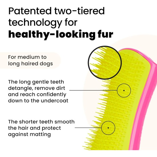 Tangle Teezer Pet Teezer Pet Grooming Brush for Small Dogs - Dog Brush for Dry or Bath Use - The Perfect Brush for Dogs - Dark Blue & Light Blue Tangle Teezer Pet Teezer Pet Grooming Brush for Small Dogs - Dog Brush for Dry or Bath Use - The Perfect Brush for Dogs - Dark Blue & Light Blue