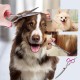 Thoquene Dog and cat grooming scissors, dog scissors, dog hair, curved, pet comb made of robust stainless steel
