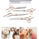 Tnfeeon 4-Piece Pet Grooming Scissors Set, 7 Inch Professional Comb Kit for Sharp Scissors, Made of Stainless Steel for Modelling Trimming Tools for Dog Cats (Gold) Tnfeeon 4-Piece Pet Grooming Scissors Set, 7 Inch Professional Comb Kit for Sharp Scissors, Made of Stainless Steel for Modelling Trimming Tools for Dog Cats (Gold)