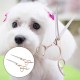 Tnfeeon 4-Piece Pet Grooming Scissors Set, 7 Inch Professional Comb Kit for Sharp Scissors, Made of Stainless Steel for Modelling Trimming Tools for Dog Cats (Gold) Tnfeeon 4-Piece Pet Grooming Scissors Set, 7 Inch Professional Comb Kit for Sharp Scissors, Made of Stainless Steel for Modelling Trimming Tools for Dog Cats (Gold)