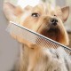 Tnfeeon 4-Piece Pet Grooming Scissors Set, 7 Inch Professional Comb Kit for Sharp Scissors, Made of Stainless Steel for Modelling Trimming Tools for Dog Cats (Gold) Tnfeeon 4-Piece Pet Grooming Scissors Set, 7 Inch Professional Comb Kit for Sharp Scissors, Made of Stainless Steel for Modelling Trimming Tools for Dog Cats (Gold)
