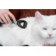 Trixie 24241 Universal Harrow, small dogs / cats, 5 × 18 cm Trixie 24241 Universal Harrow, small dogs / cats, 5 × 18 cm