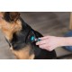 Trixie Carding Groomer, 7 × 15 cm Trixie Carding Groomer, 7 × 15 cm