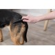 Trixie Flea and Lice Comb, 21 cm Trixie Flea and Lice Comb, 21 cm