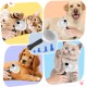 VYYTYYA Cat Brush Dog Brush [Self-Cleaning] [Cute Claw Handle] Dog Hair Removal, Fur Brush for Cats Cat Hair Brush for Care for Short & Long Hair