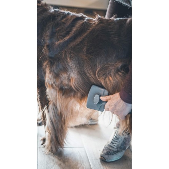 Vetocanis Dog Grooming Brush Retractable Self Cleaning 0.2kg Vetocanis Dog Grooming Brush Retractable Self Cleaning 0.2kg