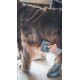 Vetocanis Dog Grooming Brush Retractable Self Cleaning 0.2kg Vetocanis Dog Grooming Brush Retractable Self Cleaning 0.2kg