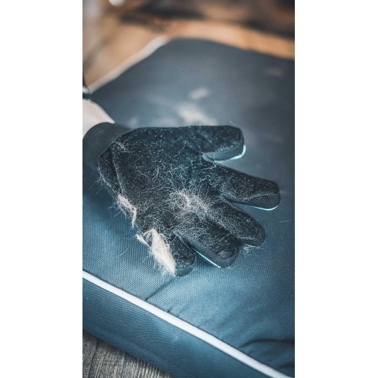 Vetocanis Grooming Glove for Dogs and Cats, 4-in-1 Action Brushing, Massage, Bathing and Hair Removal, Dog and Cat Gloves Grooming Gloves, Silicone Washing Mitt for All Fur Types Vetocanis Grooming Glove for Dogs and Cats, 4-in-1 Action Brushing, Massage, Bathing and Hair Removal, Dog and Cat Gloves Grooming Gloves, Silicone Washing Mitt for All Fur Types