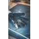 Vetocanis Grooming Glove for Dogs and Cats, 4-in-1 Action Brushing, Massage, Bathing and Hair Removal, Dog and Cat Gloves Grooming Gloves, Silicone Washing Mitt for All Fur Types Vetocanis Grooming Glove for Dogs and Cats, 4-in-1 Action Brushing, Massage, Bathing and Hair Removal, Dog and Cat Gloves Grooming Gloves, Silicone Washing Mitt for All Fur Types