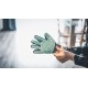 Vetocanis Grooming Glove for Dogs and Cats, 4-in-1 Action Brushing, Massage, Bathing and Hair Removal, Dog and Cat Gloves Grooming Gloves, Silicone Washing Mitt for All Fur Types Vetocanis Grooming Glove for Dogs and Cats, 4-in-1 Action Brushing, Massage, Bathing and Hair Removal, Dog and Cat Gloves Grooming Gloves, Silicone Washing Mitt for All Fur Types