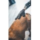 Vetocanis Grooming Glove for Dogs and Cats, 4-in-1 Action Brushing, Massage, Bathing and Hair Removal, Dog and Cat Gloves Grooming Gloves, Silicone Washing Mitt for All Fur Types Vetocanis Grooming Glove for Dogs and Cats, 4-in-1 Action Brushing, Massage, Bathing and Hair Removal, Dog and Cat Gloves Grooming Gloves, Silicone Washing Mitt for All Fur Types