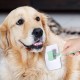 Vinabo Pet Dog Brush, Cat Brush, Self-Cleaning Slicker Brush, Removes Undercoat, Dog Brush, Cat Brush, Short to Long Hair, Suitable Gentle Cat Brush, Blue Vinabo Pet Dog Brush, Cat Brush, Self-Cleaning Slicker Brush, Removes Undercoat, Dog Brush, Cat Brush, Short to Long Hair, Suitable Gentle Cat Brush, Blue