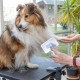 Vinabo Pet Dog Brush, Cat Brush, Self-Cleaning Slicker Brush, Removes Undercoat, Dog Brush, Cat Brush, Short to Long Hair, Suitable Gentle Cat Brush, Blue Vinabo Pet Dog Brush, Cat Brush, Self-Cleaning Slicker Brush, Removes Undercoat, Dog Brush, Cat Brush, Short to Long Hair, Suitable Gentle Cat Brush, Blue