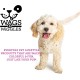 Wags & Wiggles Small Double Sided Bristle and Nodding Needle Brush for Short Haired Dogs Wags & Wiggles Small Double Sided Bristle and Nodding Needle Brush for Short Haired Dogs