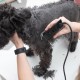 Wahl 10 Piece Mains Operated Dog Clipper