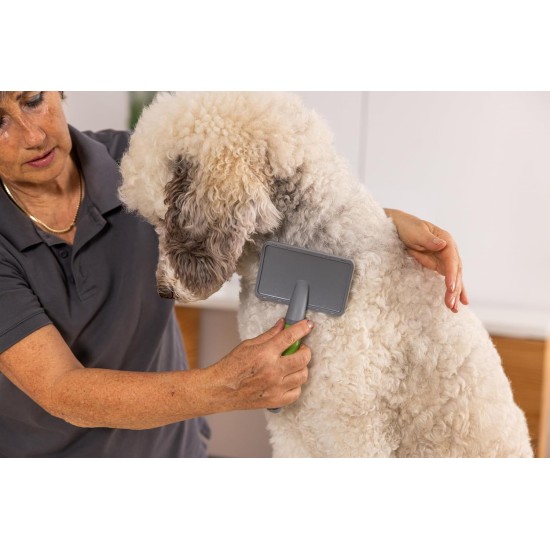 Wahl Large Slicker Brush, Professional Grooming Brush, Pet Brush for Dogs and Cats, Pet Grooming Tools, Slicker Brushes for Long Short Haired Animals, Gel Handle Wahl Large Slicker Brush, Professional Grooming Brush, Pet Brush for Dogs and Cats, Pet Grooming Tools, Slicker Brushes for Long Short Haired Animals, Gel Handle