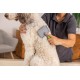 Wahl Large Slicker Brush, Professional Grooming Brush, Pet Brush for Dogs and Cats, Pet Grooming Tools, Slicker Brushes for Long Short Haired Animals, Gel Handle Wahl Large Slicker Brush, Professional Grooming Brush, Pet Brush for Dogs and Cats, Pet Grooming Tools, Slicker Brushes for Long Short Haired Animals, Gel Handle