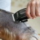 Wahl Performer Pet Clipper, Corded Dog Clippers, Full Fur Grooming Kit, Carbon Steel Blades, Pet Grooming at Home, Powerful and Quiet, 4 Attachment Combs (3, 6, 9, 13 mm) Wahl Performer Pet Clipper, Corded Dog Clippers, Full Fur Grooming Kit, Carbon Steel Blades, Pet Grooming at Home, Powerful and Quiet, 4 Attachment Combs (3, 6, 9, 13 mm)