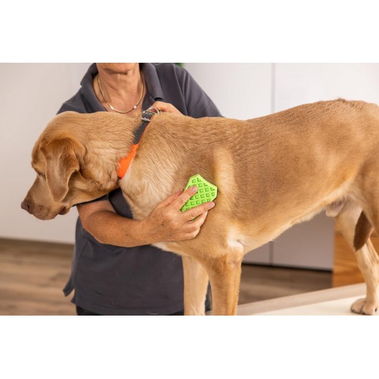 Wahl Sheddy Dog Grooming Wahl Sheddy Dog Grooming