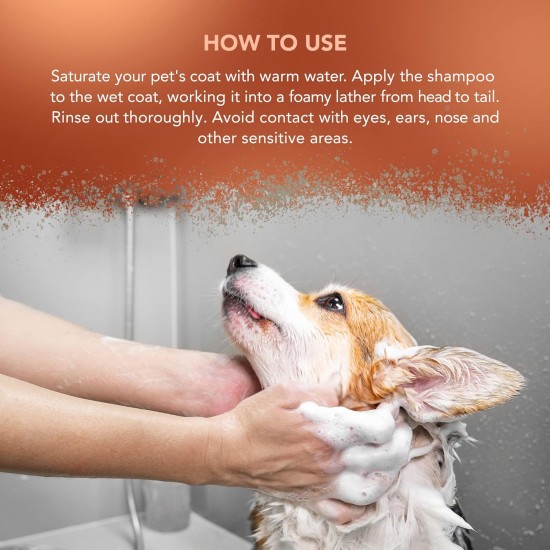 Wahl Showman Dirty Beastie Shampoo, 5 Litre Wahl Showman Dirty Beastie Shampoo, 5 Litre