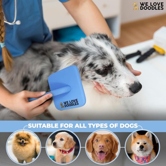 We Love Doodles - Slicker Brush for Dogs - Ideal for Medium or Long Haired Dogs - Best Slicker Brush for Doodles - Slicker Brush with Long Handle, Blue We Love Doodles - Slicker Brush for Dogs - Ideal for Medium or Long Haired Dogs - Best Slicker Brush for Doodles - Slicker Brush with Long Handle, Blue