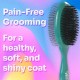 Wet Brush Ultimate Double Sided Detangling Brush - Ultra Soft IntelliFlex Bristles Removes Loose Hair and Dirt for Dogs, Cats, Rabbits, Teal Wet Brush Ultimate Double Sided Detangling Brush - Ultra Soft IntelliFlex Bristles Removes Loose Hair and Dirt for Dogs, Cats, Rabbits, Teal
