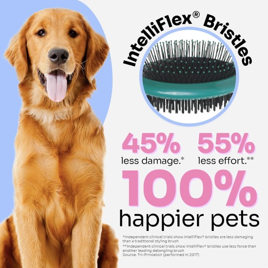 Wet Brush Ultimate Double Sided Detangling Brush - Ultra Soft IntelliFlex Bristles Removes Loose Hair and Dirt for Dogs, Cats, Rabbits, Teal Wet Brush Ultimate Double Sided Detangling Brush - Ultra Soft IntelliFlex Bristles Removes Loose Hair and Dirt for Dogs, Cats, Rabbits, Teal