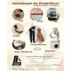 Wunderbürste - Premium Reusable Pet Hair Cleaning Brush - Works Great for Clothes, Furniture and Cars Wunderbürste - Premium Reusable Pet Hair Cleaning Brush - Works Great for Clothes, Furniture and Cars