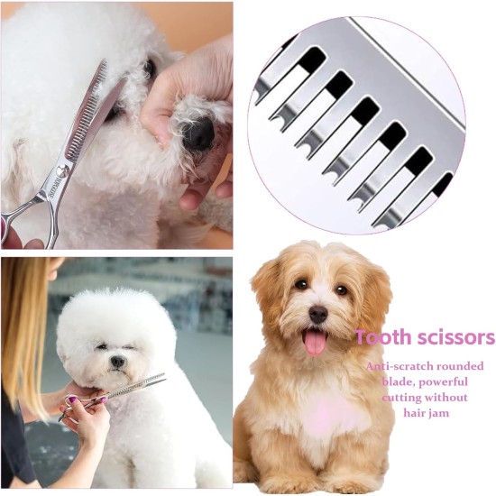 XoeLLe Dog Scissors for Dogs and Cats, Lot de 2 Dog Scissors Set, Professional, Pet Scissors with Round Safety Tip, Curved Grooming Scissors, Hair Scissors for Dog Groomers and Beginners XoeLLe Dog Scissors for Dogs and Cats, Lot de 2 Dog Scissors Set, Professional, Pet Scissors with Round Safety Tip, Curved Grooming Scissors, Hair Scissors for Dog Groomers and Beginners