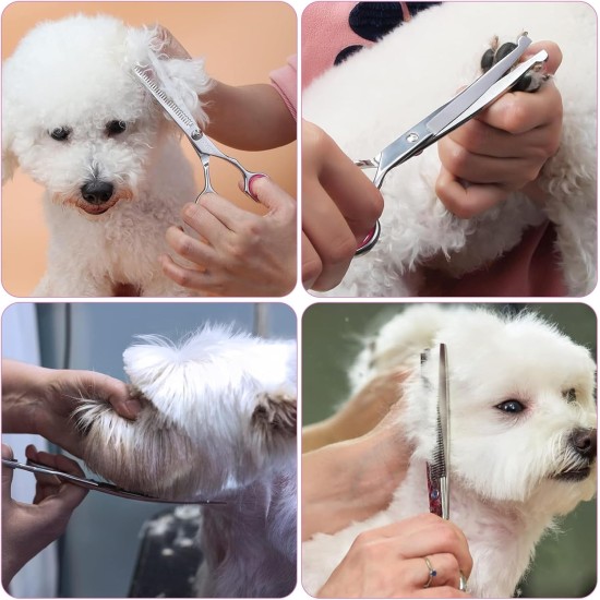 XoeLLe Dog Scissors for Dogs and Cats, Lot de 2 Dog Scissors Set, Professional, Pet Scissors with Round Safety Tip, Curved Grooming Scissors, Hair Scissors for Dog Groomers and Beginners XoeLLe Dog Scissors for Dogs and Cats, Lot de 2 Dog Scissors Set, Professional, Pet Scissors with Round Safety Tip, Curved Grooming Scissors, Hair Scissors for Dog Groomers and Beginners