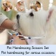 XoeLLe Dog Scissors for Dogs and Cats, Lot de 2 Dog Scissors Set, Professional, Pet Scissors with Round Safety Tip, Curved Grooming Scissors, Hair Scissors for Dog Groomers and Beginners XoeLLe Dog Scissors for Dogs and Cats, Lot de 2 Dog Scissors Set, Professional, Pet Scissors with Round Safety Tip, Curved Grooming Scissors, Hair Scissors for Dog Groomers and Beginners