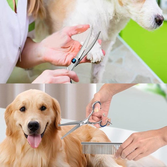 XoeLLe Dog Scissors for Dogs and Cats, Lot de 2 Dog Scissors Set, Professional, Pet Scissors with Round Safety Tip, Curved Grooming Scissors, Hair Scissors for Dog Groomers and Beginners XoeLLe Dog Scissors for Dogs and Cats, Lot de 2 Dog Scissors Set, Professional, Pet Scissors with Round Safety Tip, Curved Grooming Scissors, Hair Scissors for Dog Groomers and Beginners