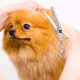 XoeLLe Dog Scissors for Dogs and Cats, Lot de 2 Dog Scissors Set, Professional, Pet Scissors with Round Safety Tip, Curved Grooming Scissors, Hair Scissors for Dog Groomers and Beginners XoeLLe Dog Scissors for Dogs and Cats, Lot de 2 Dog Scissors Set, Professional, Pet Scissors with Round Safety Tip, Curved Grooming Scissors, Hair Scissors for Dog Groomers and Beginners