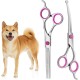 XoeLLe Dog Scissors for Dogs and Cats, Lot de 2 Dog Scissors Set, Professional, Pet Scissors with Round Safety Tip, Curved Grooming Scissors, Hair Scissors for Dog Groomers and Beginners XoeLLe Dog Scissors for Dogs and Cats, Lot de 2 Dog Scissors Set, Professional, Pet Scissors with Round Safety Tip, Curved Grooming Scissors, Hair Scissors for Dog Groomers and Beginners