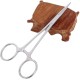 YIYI Hemostat Forceps, 12.5CM High Quality Stainless Steel Dog Cat Pet Scissors Ear Hair Clamp (bent) YIYI Hemostat Forceps, 12.5CM High Quality Stainless Steel Dog Cat Pet Scissors Ear Hair Clamp (bent)