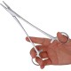 YIYI Hemostat Forceps, 12.5CM High Quality Stainless Steel Dog Cat Pet Scissors Ear Hair Clamp (bent) YIYI Hemostat Forceps, 12.5CM High Quality Stainless Steel Dog Cat Pet Scissors Ear Hair Clamp (bent)