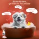 animigo Flea Shampoo Dog & Cats 500 ml - Flea Remedy with Tea Tree Oil - Against Ticks, Fleas & Itching - Alternative to Flea Spray, Tick Collar, Flea Comb - With Coconut Oil, Almond Oil - Natural