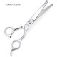 iSeaFly Dog Scissors with Round Tip, 5 in 1 Dog Scissors Set, Stainless Steel Cat Grooming Scissors, Dog Scissors Set for Full Body, Face, Nose and Ear