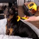 lionto Undercoat Brush, Non-Slip Handle & Removable Blade, Slim, Brush for Dogs & Cats, Gentle Grooming & Rounded Bristles, Dog Brush Suitable for Long & Short Coat, Rustproof lionto Undercoat Brush, Non-Slip Handle & Removable Blade, Slim, Brush for Dogs & Cats, Gentle Grooming & Rounded Bristles, Dog Brush Suitable for Long & Short Coat, Rustproof