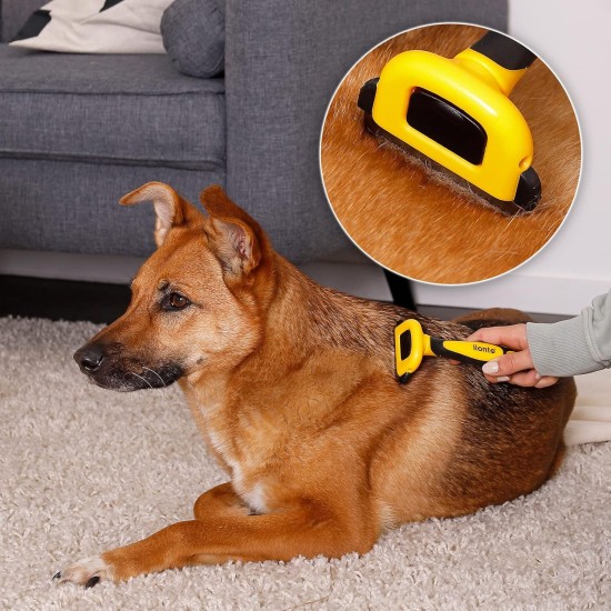 lionto Undercoat Brush, Non-Slip Handle & Removable Blade, Slim, Brush for Dogs & Cats, Gentle Grooming & Rounded Bristles, Dog Brush Suitable for Long & Short Coat, Rustproof lionto Undercoat Brush, Non-Slip Handle & Removable Blade, Slim, Brush for Dogs & Cats, Gentle Grooming & Rounded Bristles, Dog Brush Suitable for Long & Short Coat, Rustproof