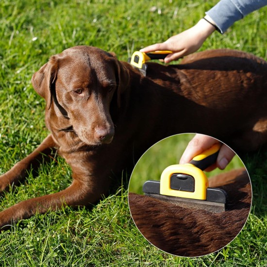 lionto Undercoat Brush, Non-Slip Handle & Removable Blade, Slim, Brush for Dogs & Cats, Gentle Grooming & Rounded Bristles, Dog Brush Suitable for Long & Short Coat, Rustproof lionto Undercoat Brush, Non-Slip Handle & Removable Blade, Slim, Brush for Dogs & Cats, Gentle Grooming & Rounded Bristles, Dog Brush Suitable for Long & Short Coat, Rustproof