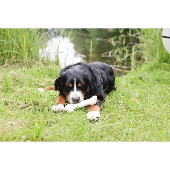 8in1 Delights Pro Dental Healthy Chew Bone Chew Sticks for Dogs for Dental Care Various Sizes: 8in1 Delights Pro Dental Healthy Chew Bone Chew Sticks for Dogs for Dental Care Various Sizes: