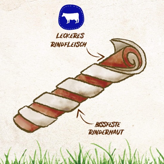 8in1 Delights Pro Dental Healthy Chew Bone Chew Sticks for Dogs for Dental Care Various Sizes: 8in1 Delights Pro Dental Healthy Chew Bone Chew Sticks for Dogs for Dental Care Various Sizes: